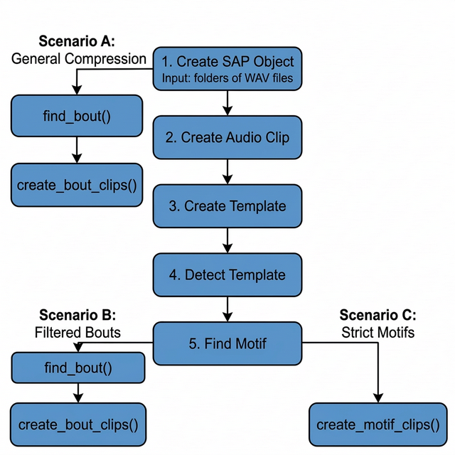 ASAP song clip export scenarios. Scenario A branches early (after SAP object creation) for rapid compression. Scenarios B and C require full motif detection before exporting bouts or motifs, respectively.