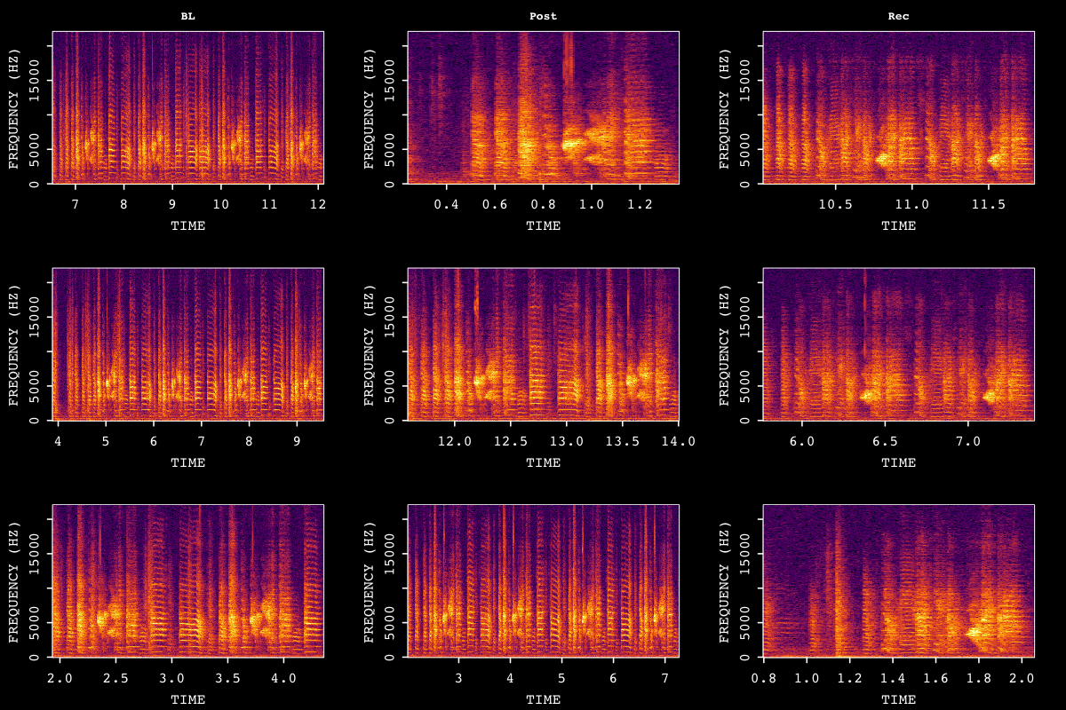 Sample Bouts Across Time Points