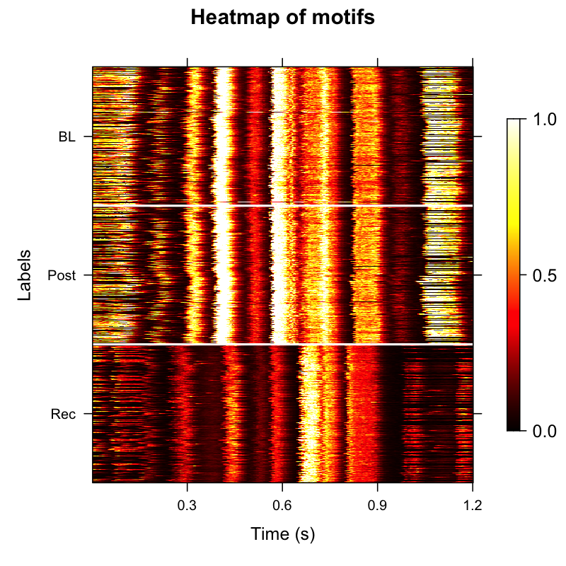 Longitudinal motif heatmap across development